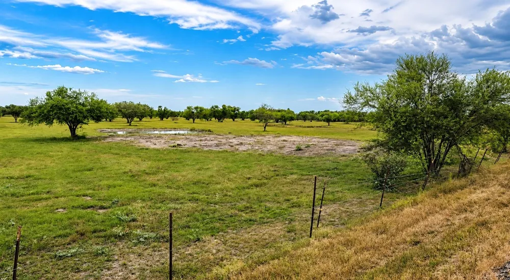 13520 Moody Road Needville, TX 77461