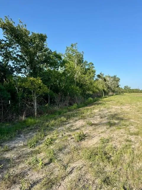 Fm 1462 E Rosharon, TX 77583