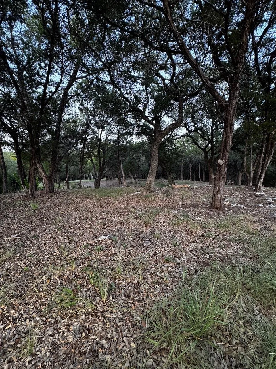 17604 Regatta View Drive Drive Jonestown, TX 78645