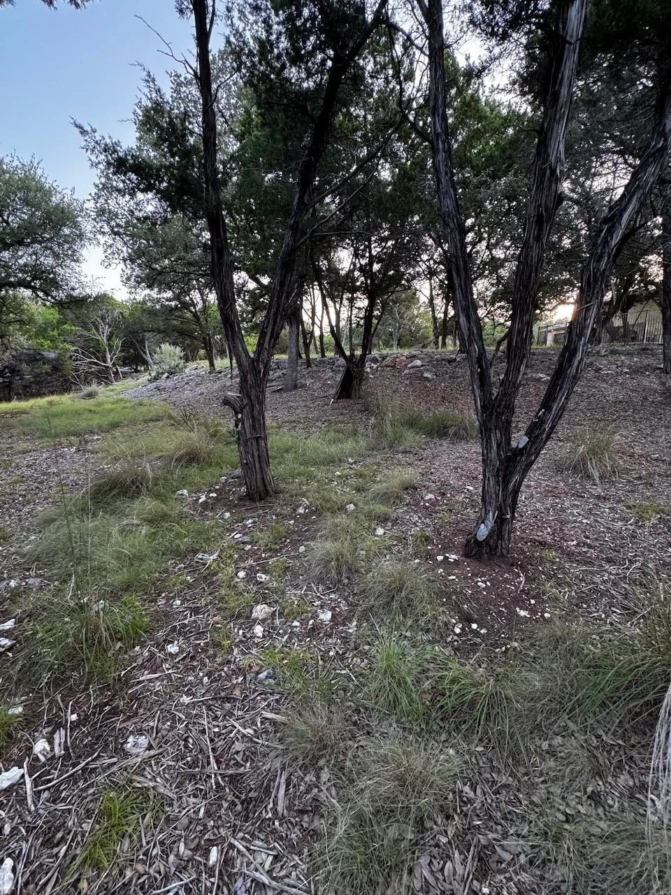 17604 Regatta View Drive Drive Jonestown, TX 78645