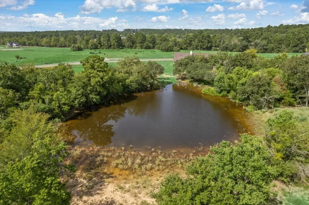 9557 Cedar Creek Lane Plantersville, TX 77868