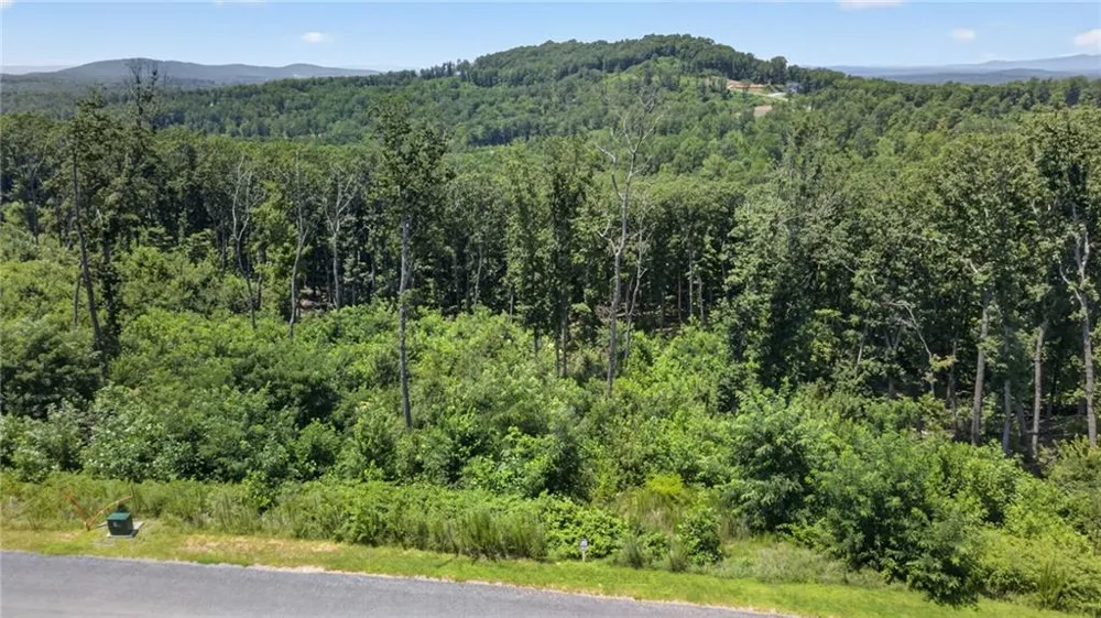 292 Highgrove Drive Talking Rock, GA 30175