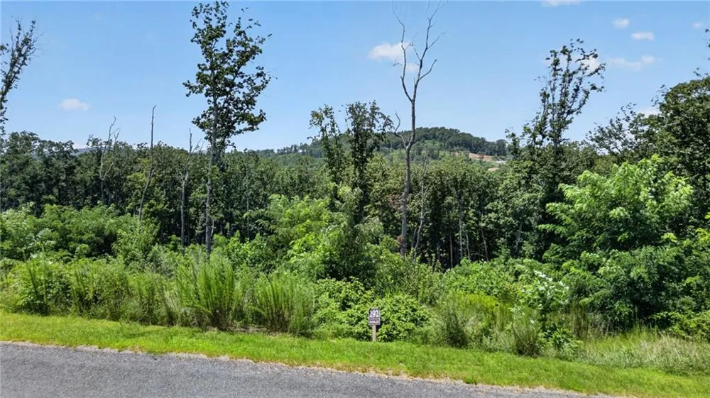 292 Highgrove Drive Talking Rock, GA 30175