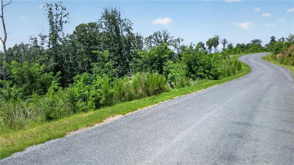 292 Highgrove Drive Talking Rock, GA 30175