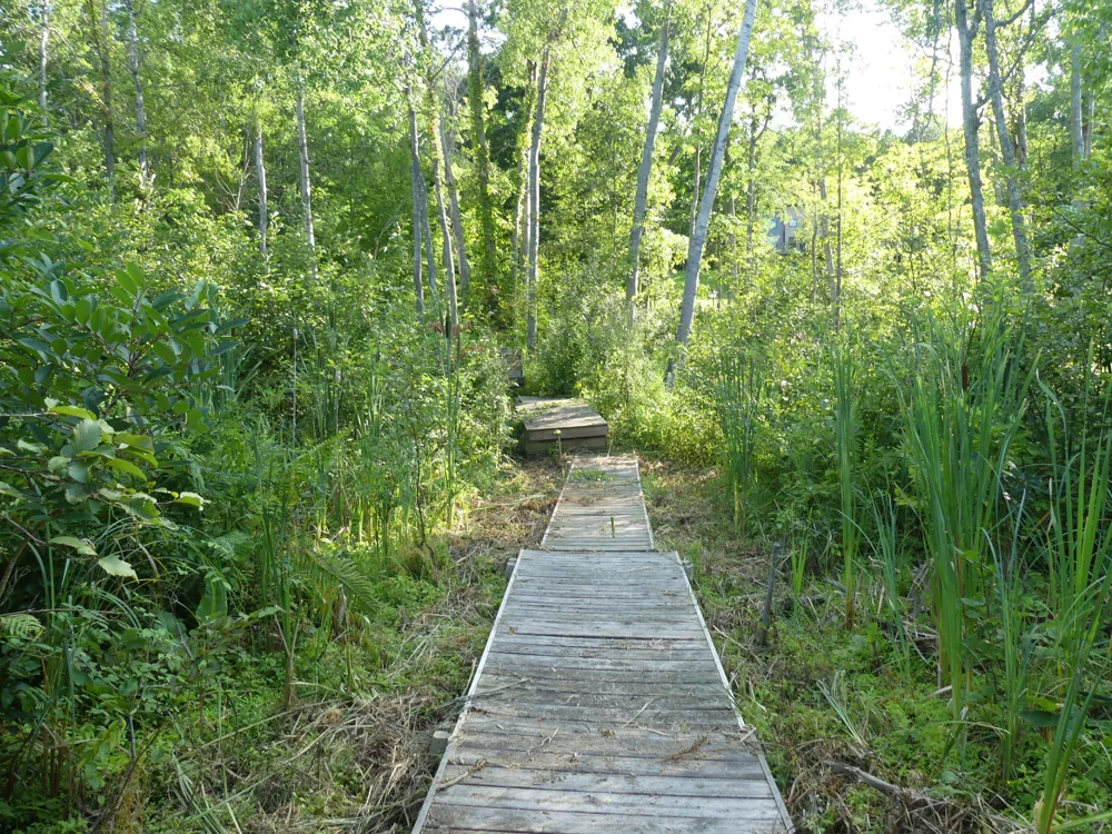 9310 S Benjamin Drive Newaygo, MI 49337