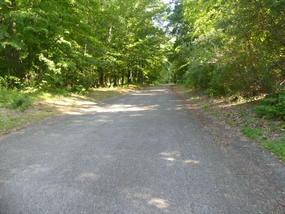 9310 S Benjamin Drive Newaygo, MI 49337