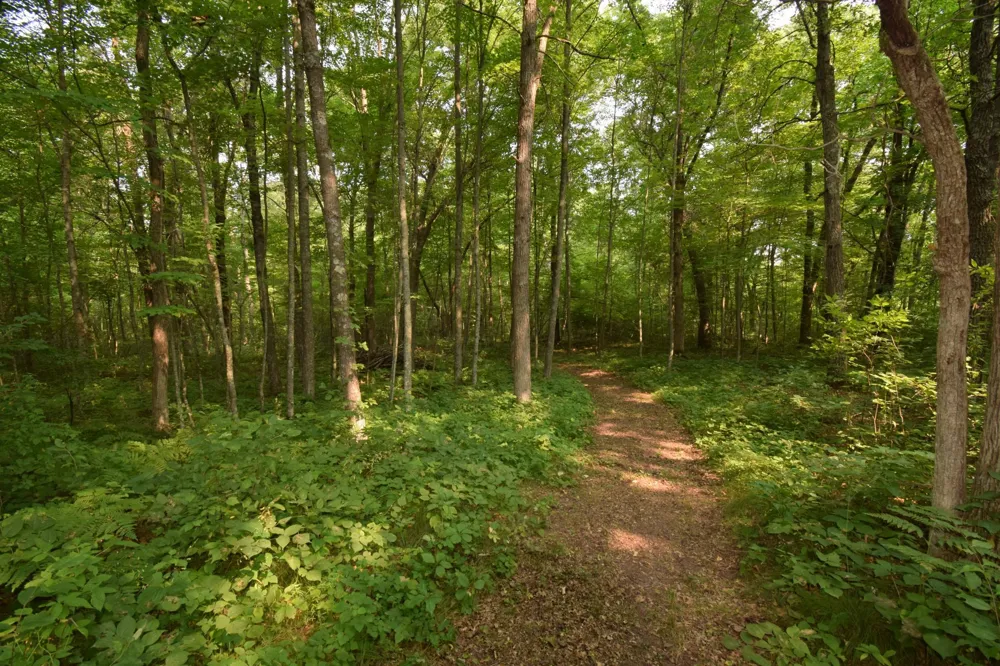 25707 Smith Road Webster, WI 54893