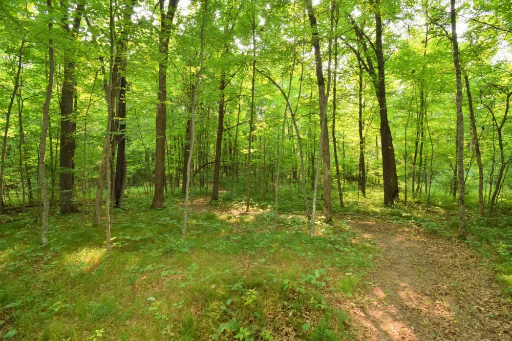 25707 Smith Road Webster, WI 54893
