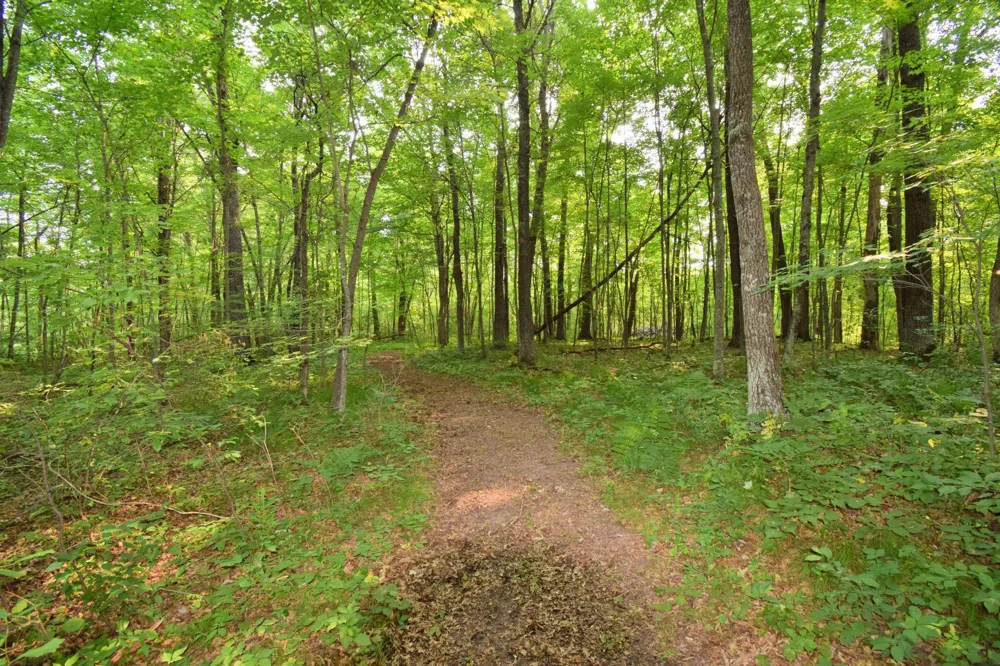 25707 Smith Road Webster, WI 54893