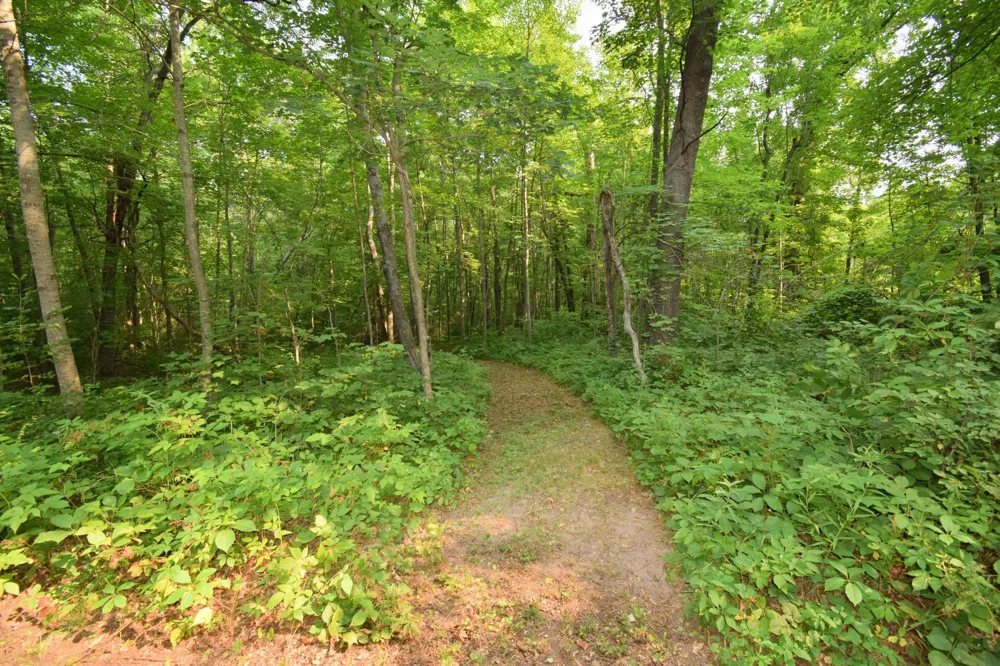 25707 Smith Road Webster, WI 54893