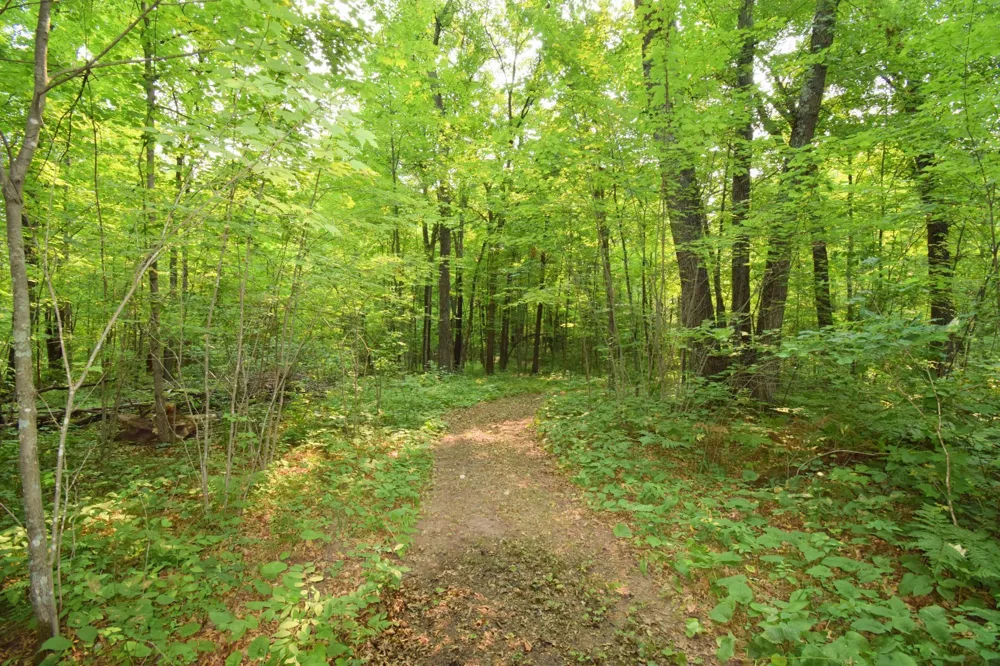 25707 Smith Road Webster, WI 54893