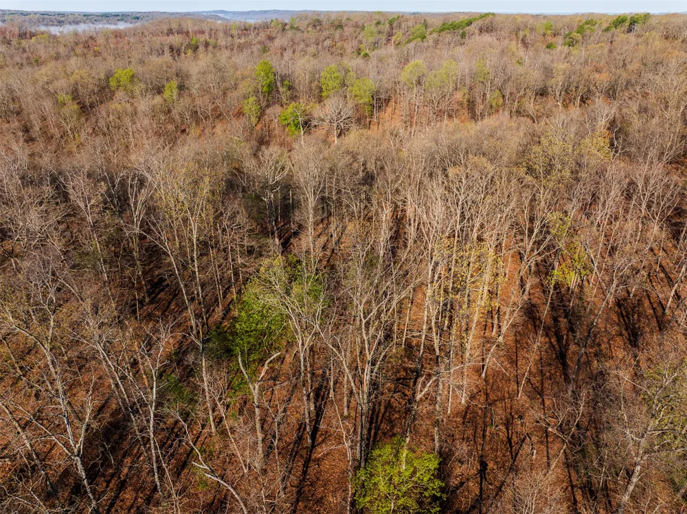 4 S 4530 ROAD Eucha, OK 74342