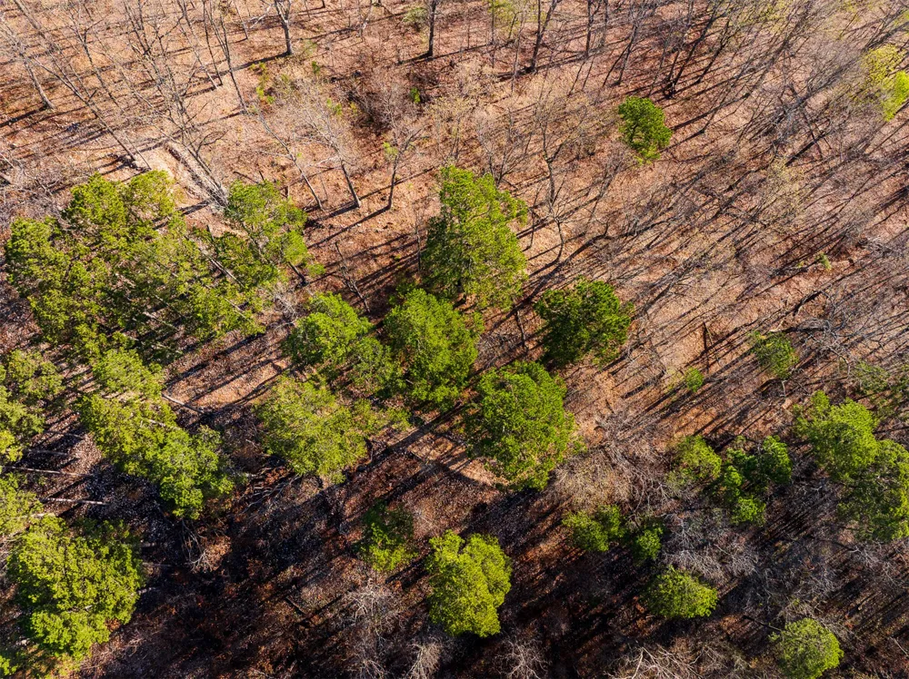 4 S 4530 ROAD Eucha, OK 74342