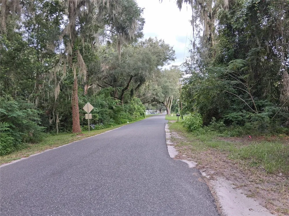 COUNTY RD 730 Webster, FL 33597