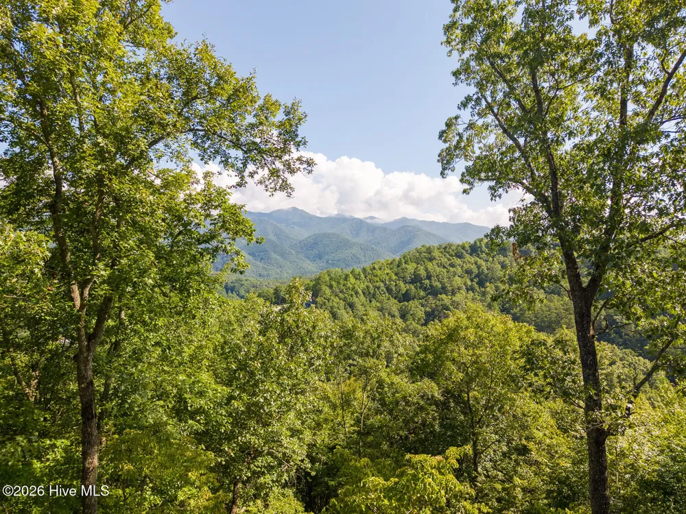 444 Look Out Point Bryson City, NC 28713