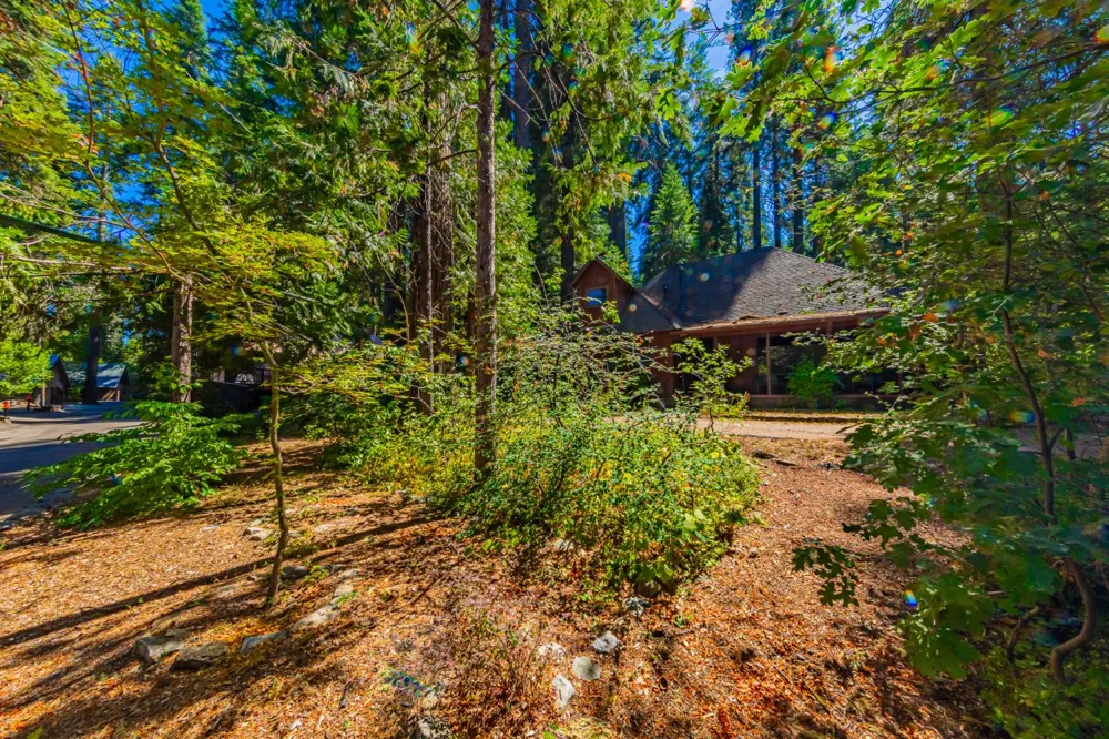 1173 Railroad Avenue Fish Camp, CA 93623