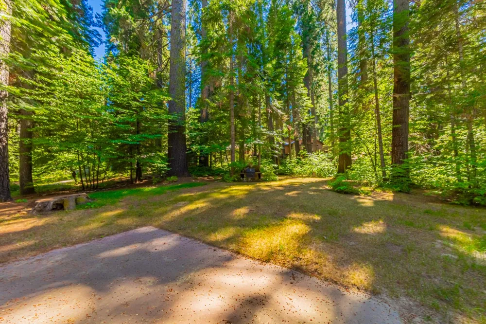 1173 Railroad Avenue Fish Camp, CA 93623