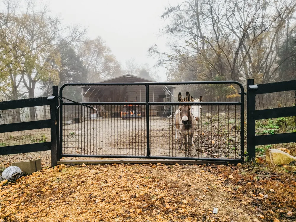 2100 Hill Station Rd Columbia, TN 38401