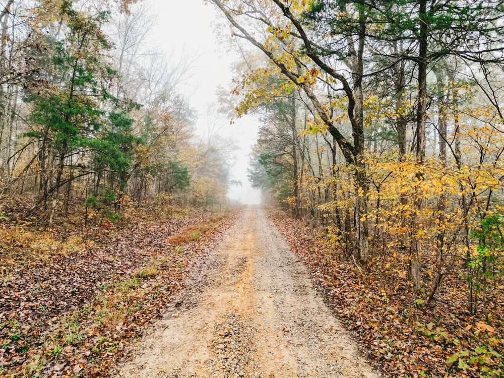 2100 Hill Station Rd Columbia, TN 38401