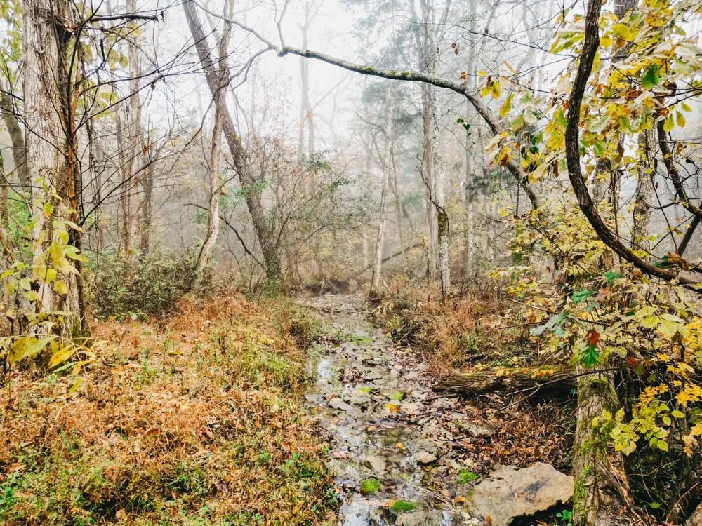 2100 Hill Station Rd Columbia, TN 38401