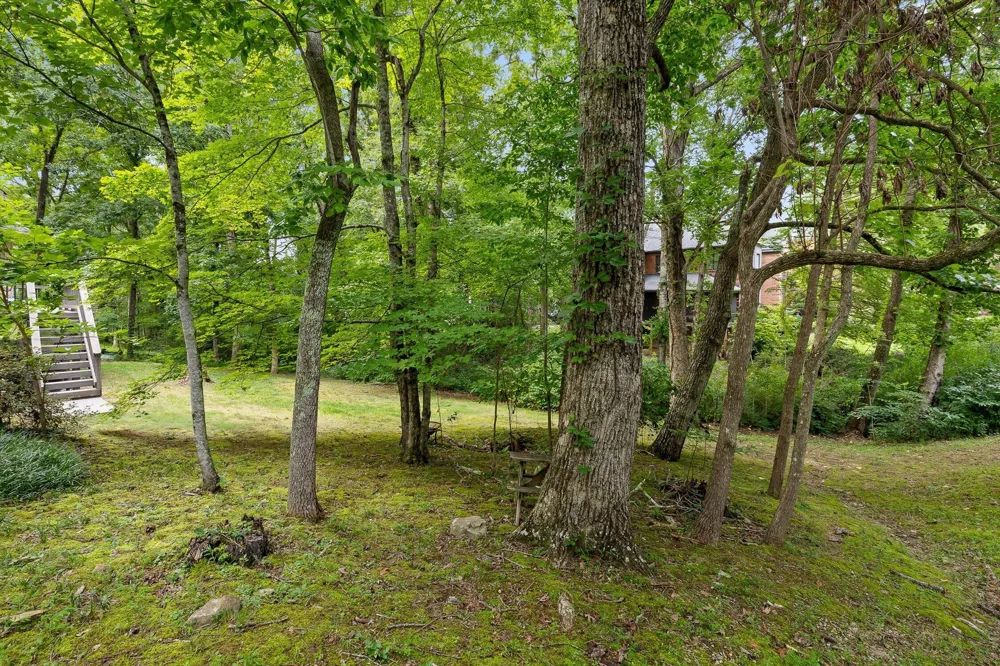 31 Mountain Cove Road Signal Mountain, TN 37377