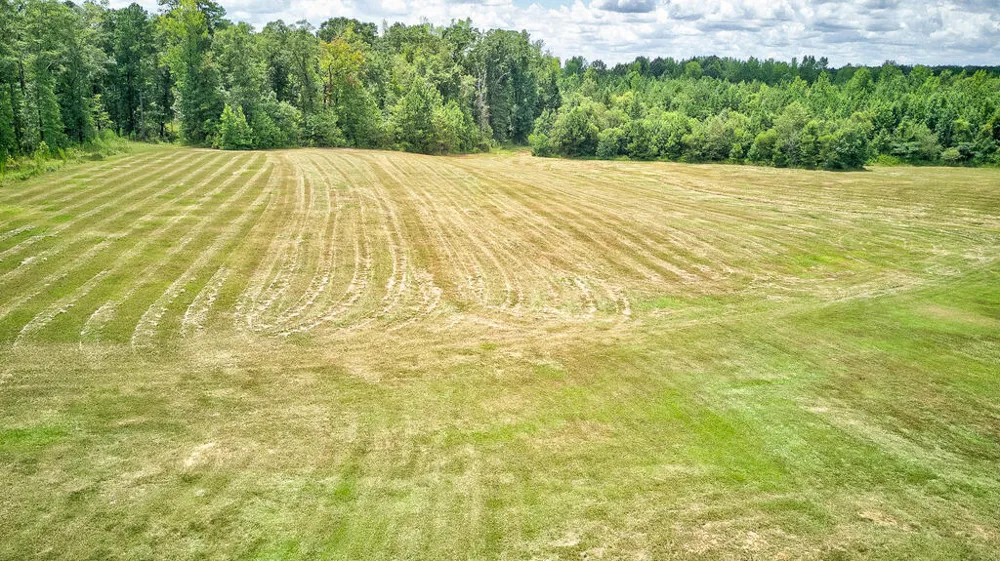 611 Padgetts Road Opelika, AL 36804