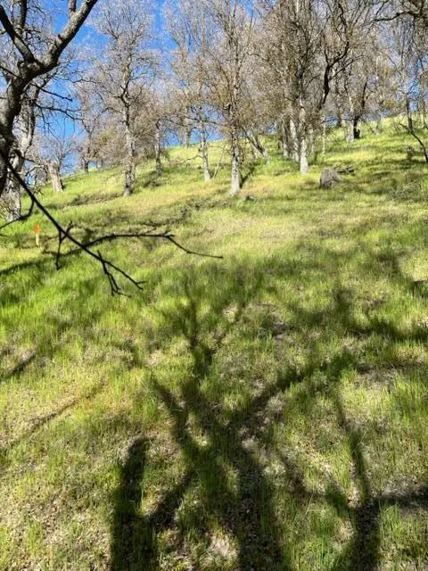 22948 Rim Way Tehachapi, CA 93561