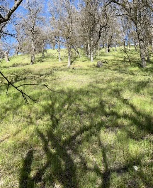 22948 Rim Way Tehachapi, CA 93561