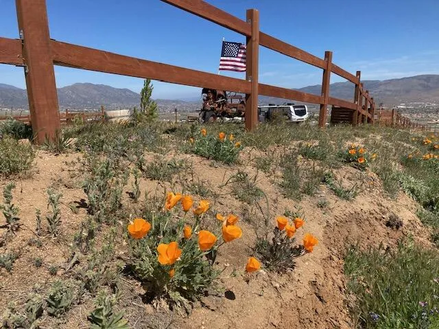 Ottawa Drive Tehachapi, CA 93561