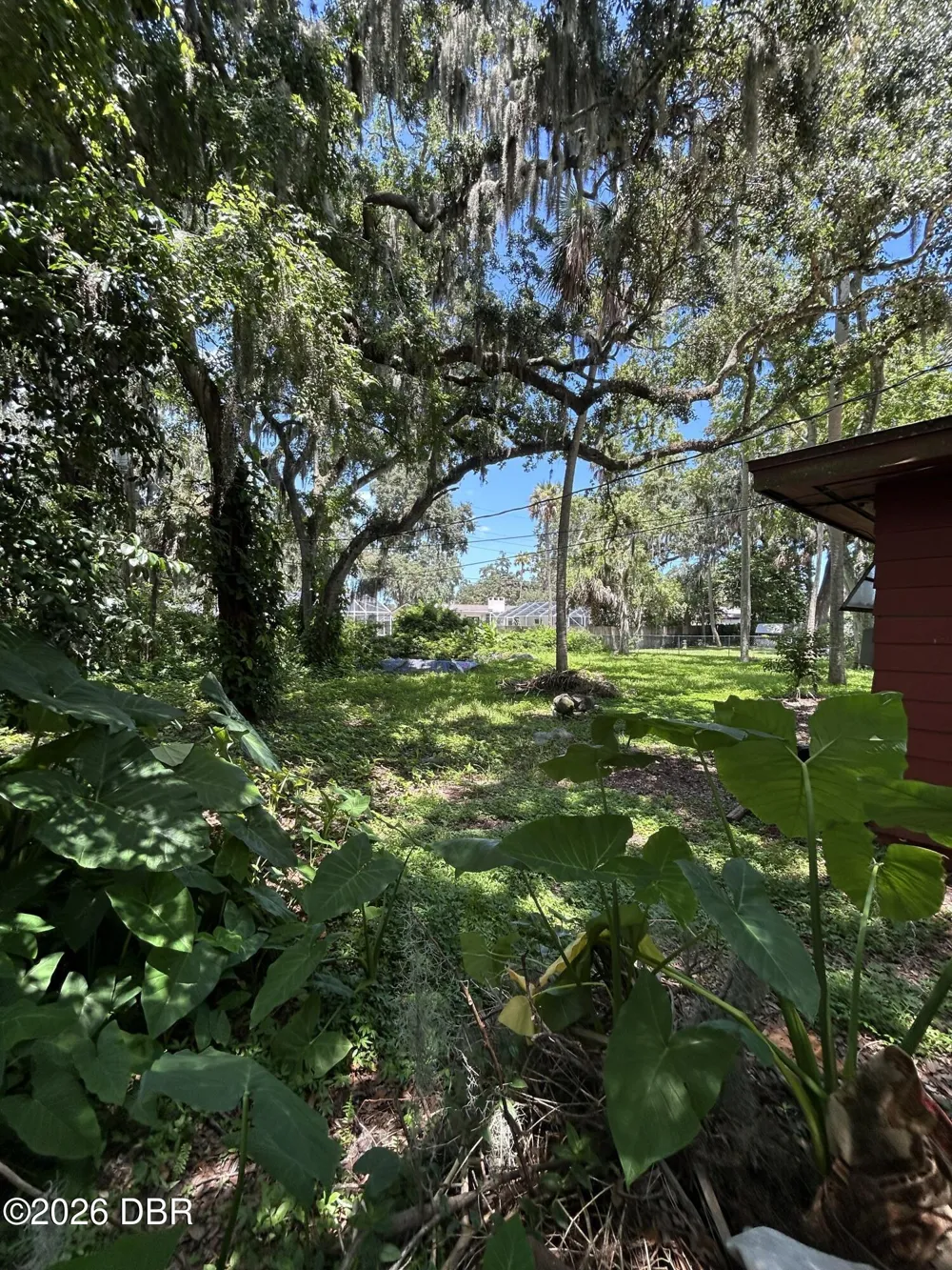 840 Pineapple Road South Daytona, FL 32119