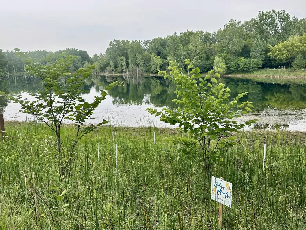 5295 Bear Lake Drive Meridian Charter Township, MI 48823