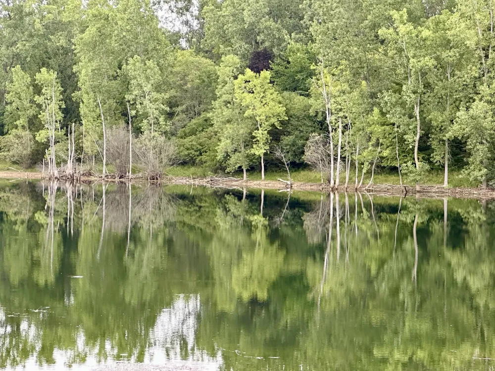 5295 Bear Lake Drive Meridian Charter Township, MI 48823
