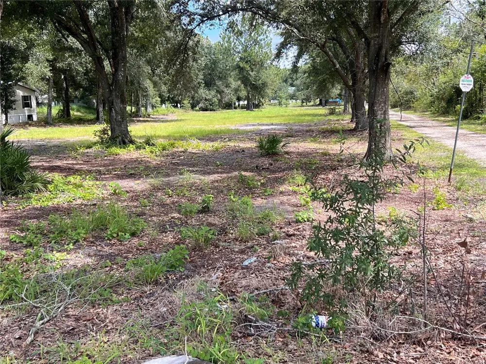 US HIGHWAY 98 W Frostproof, FL 33843