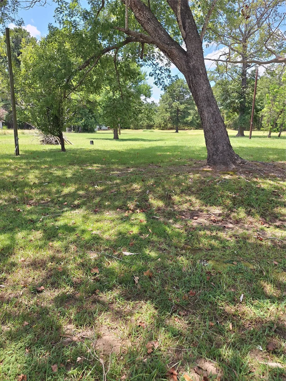 10659 Wesley Road Vivian, LA 71082