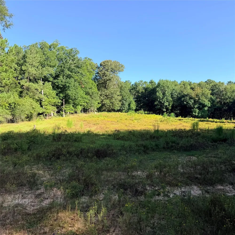 Fm 943 E Livingston, TX 77351