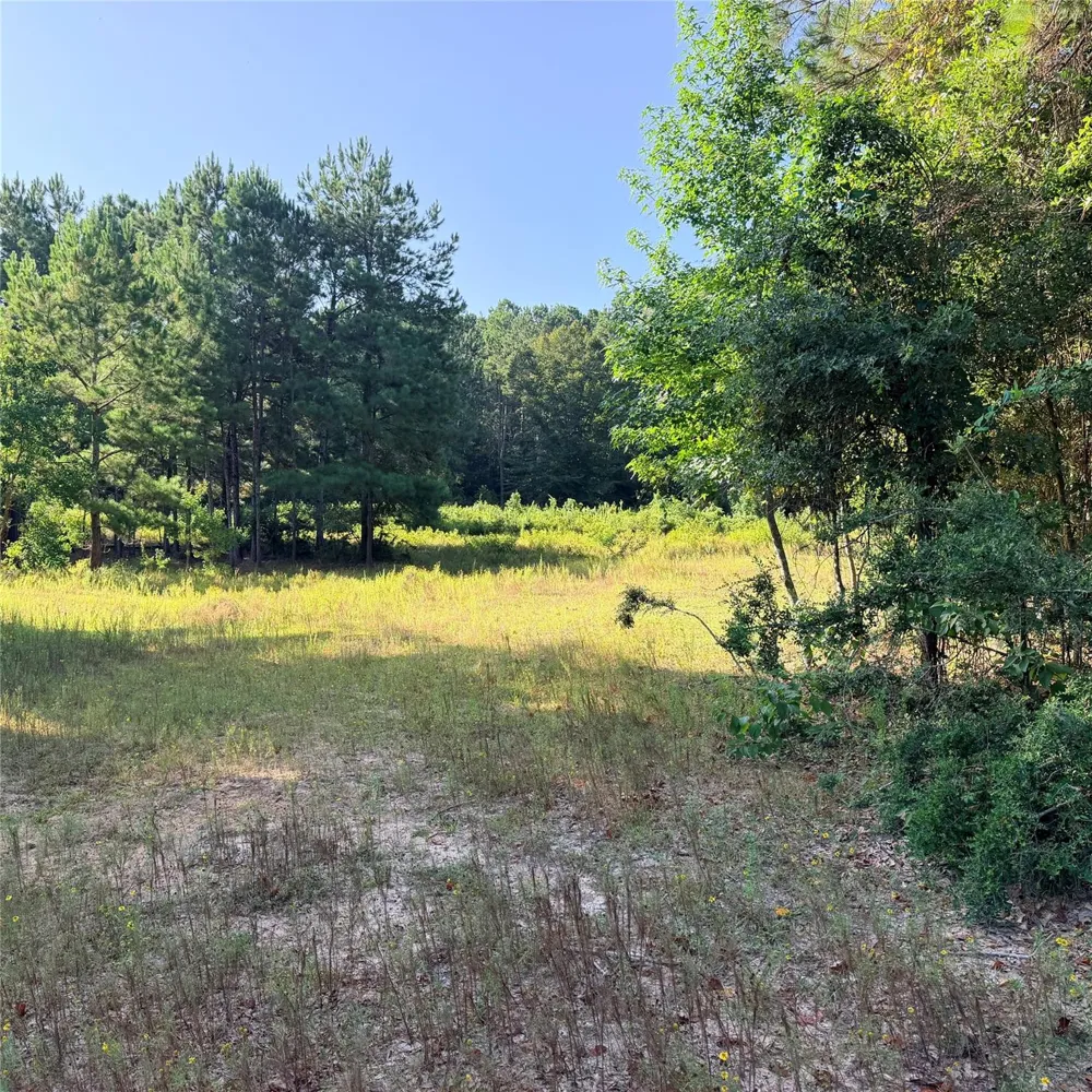 Fm 943 E Livingston, TX 77351