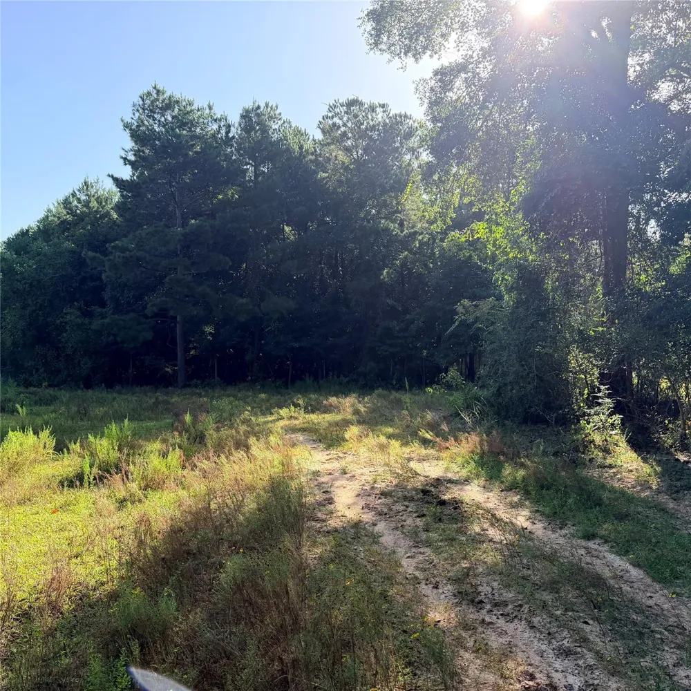 Fm 943 E Livingston, TX 77351
