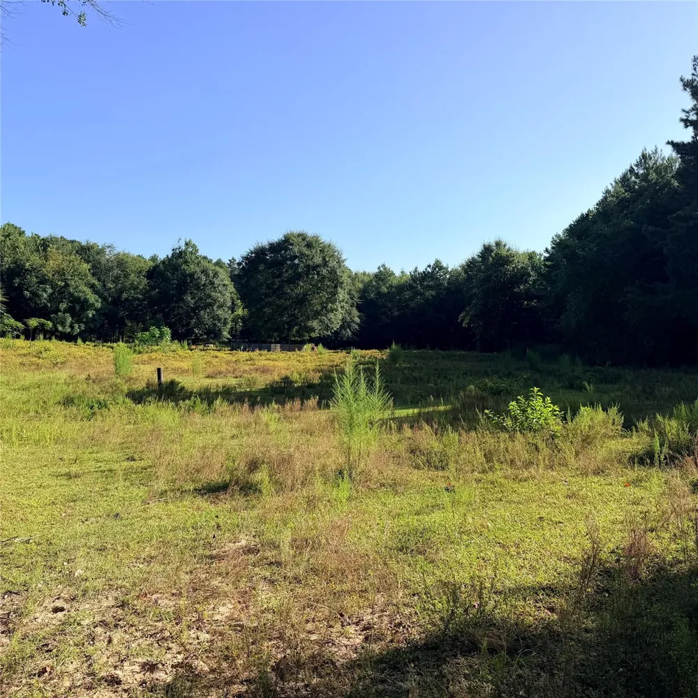 Fm 943 E Livingston, TX 77351