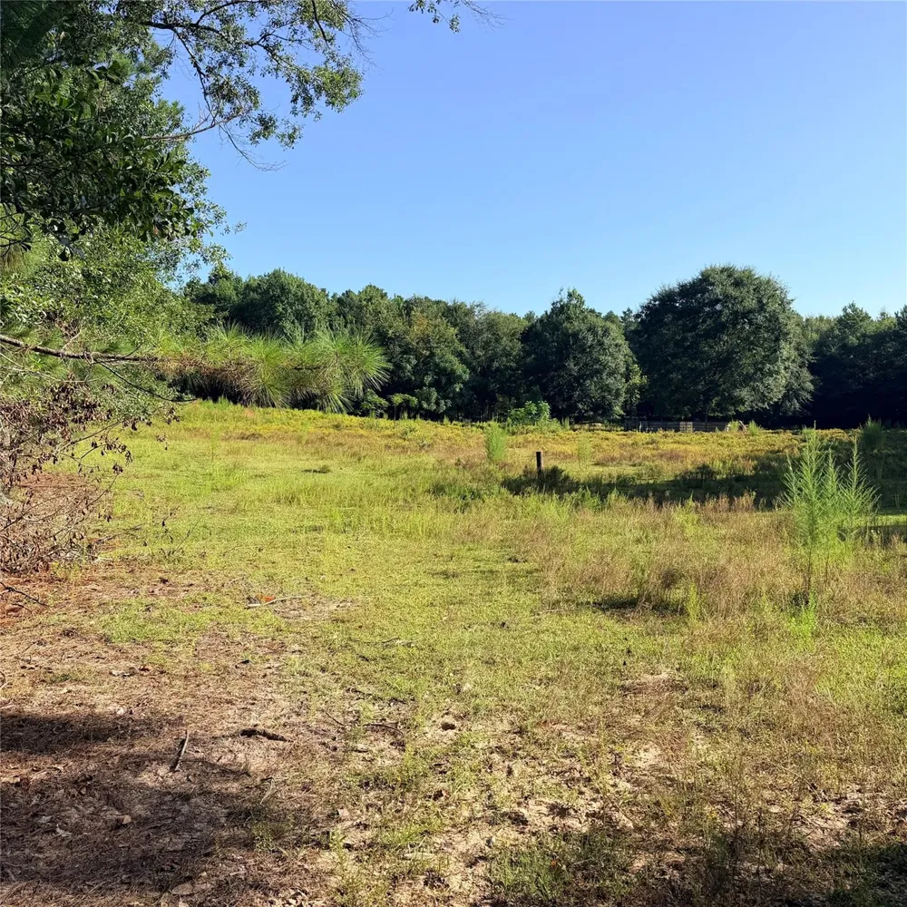 Fm 943 E Livingston, TX 77351