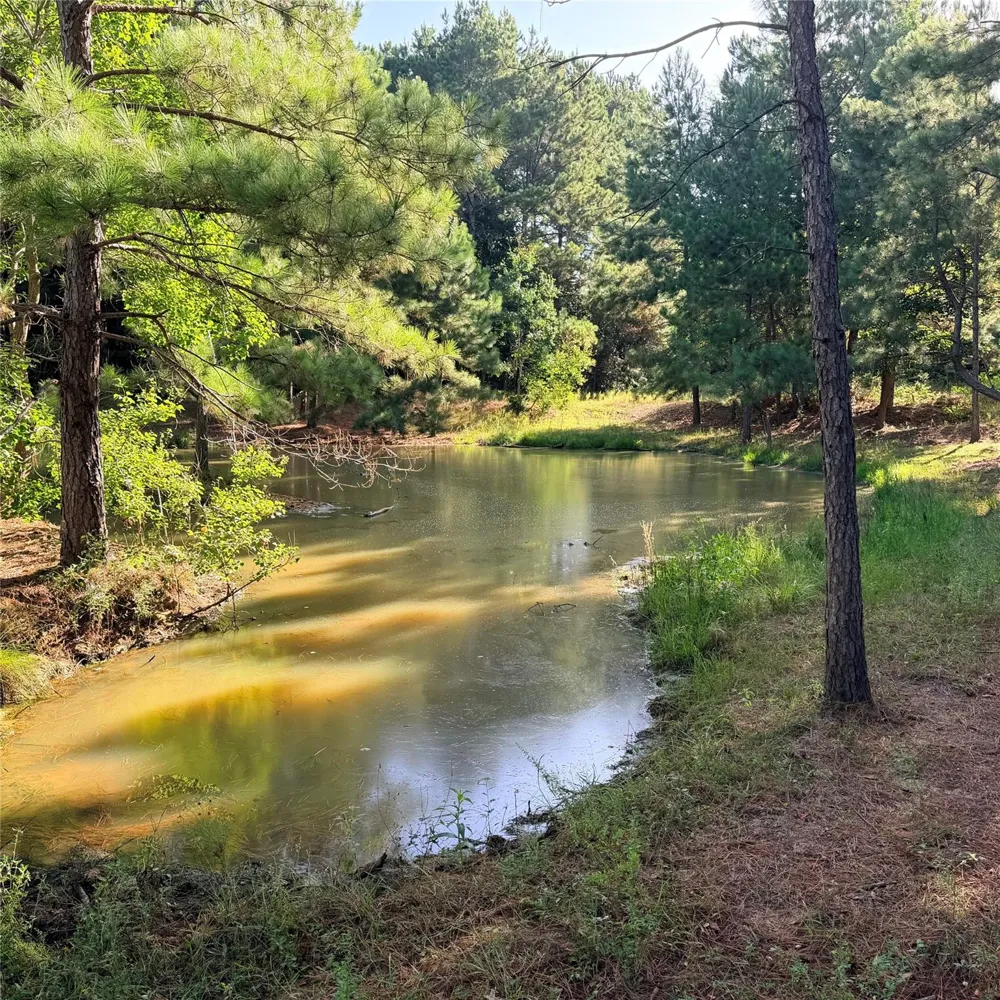 Fm 943 E Livingston, TX 77351