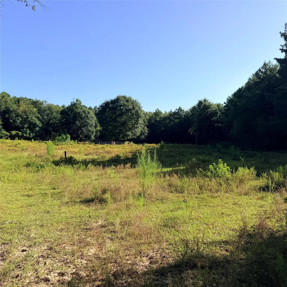 Fm 943 E Livingston, TX 77351