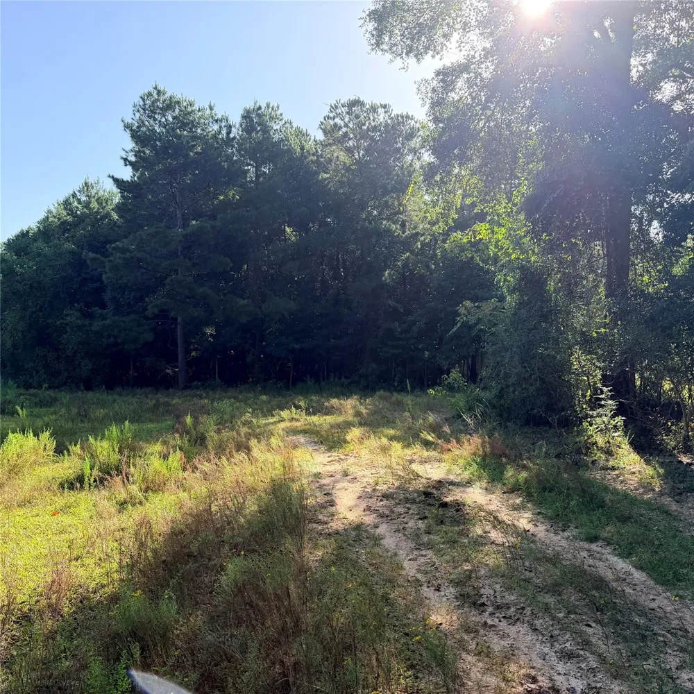 Fm 943 E Livingston, TX 77351