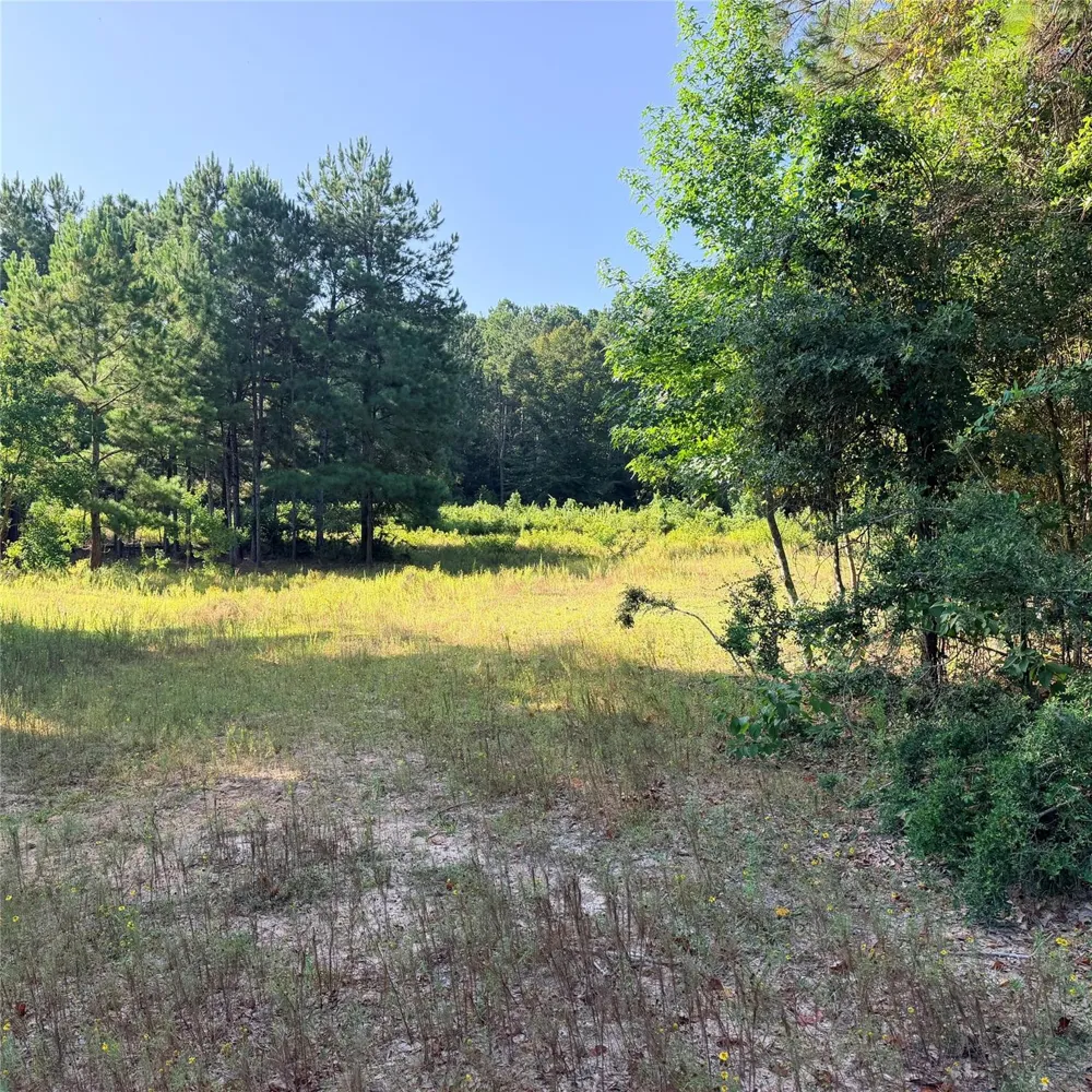 Fm 943 E Livingston, TX 77351