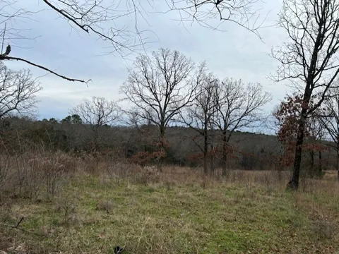 1295 Maple Springs Road