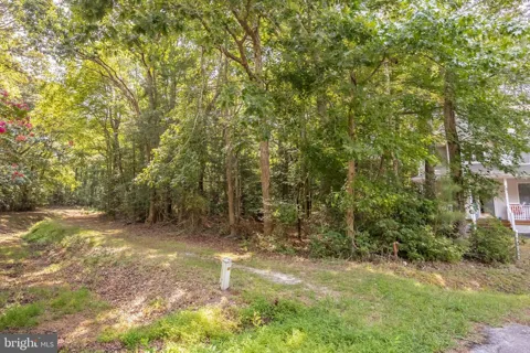 24 SASSAFRAS LANE