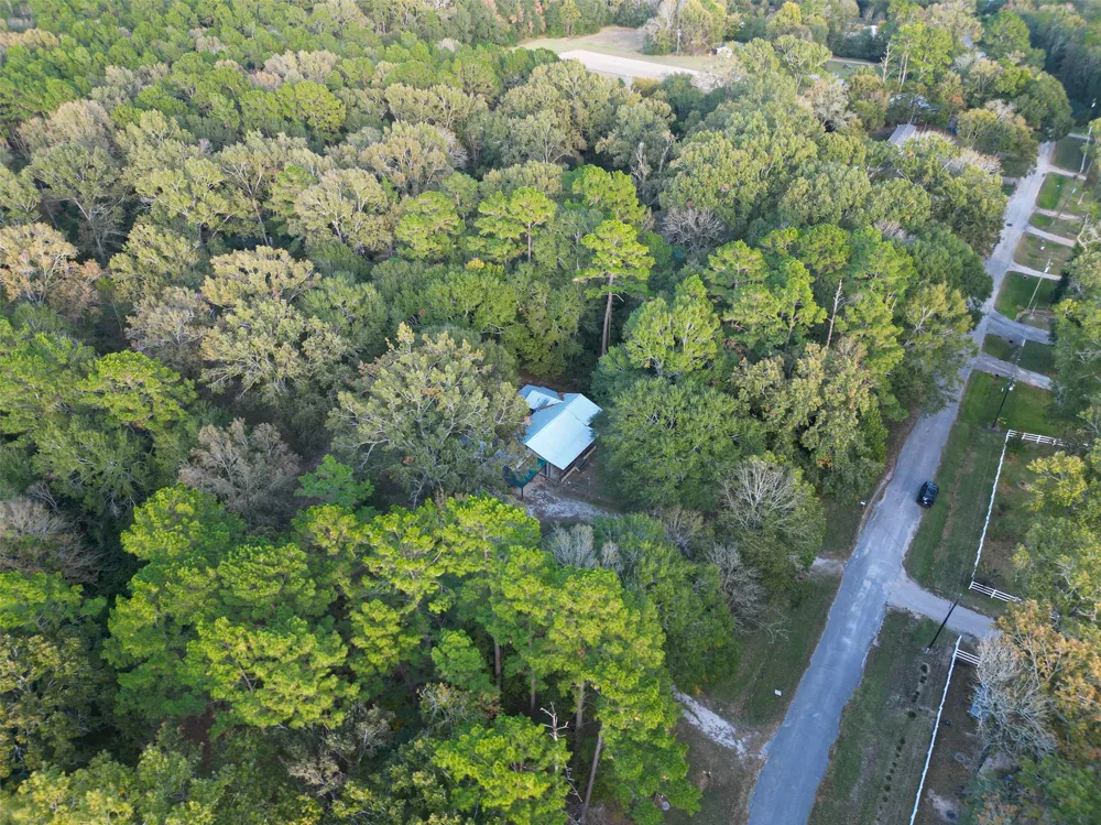 450 Dove Creek Dr Coldspring, TX 77331