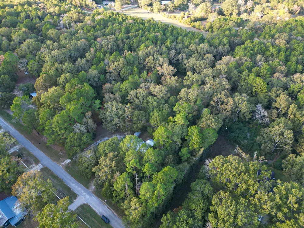 450 Dove Creek Dr Coldspring, TX 77331