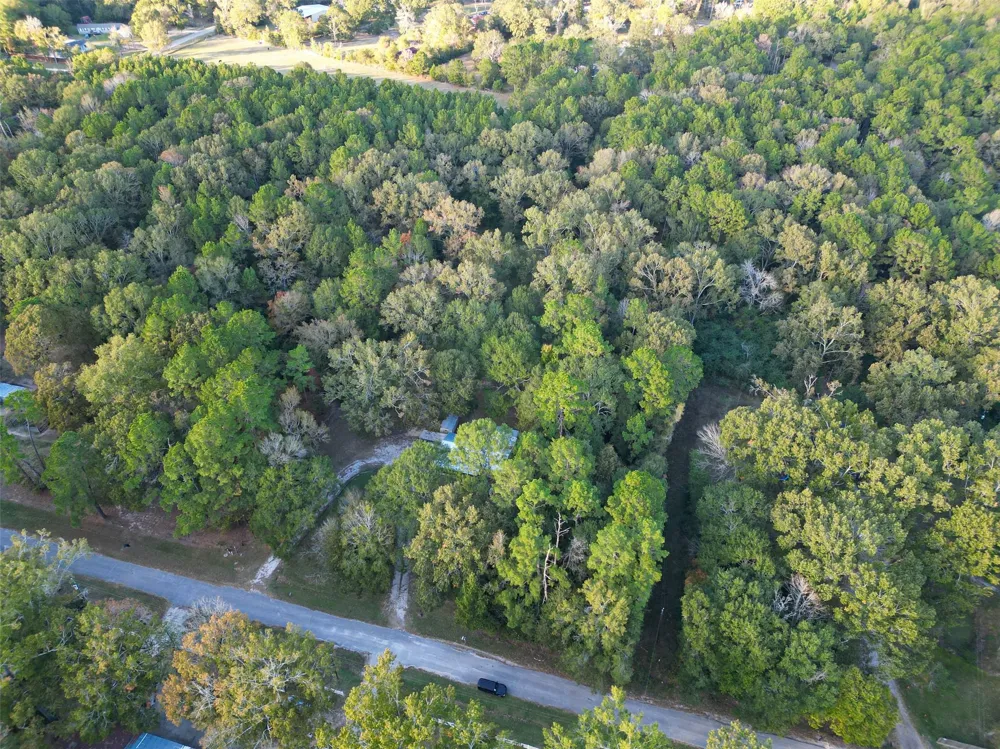 450 Dove Creek Dr Coldspring, TX 77331