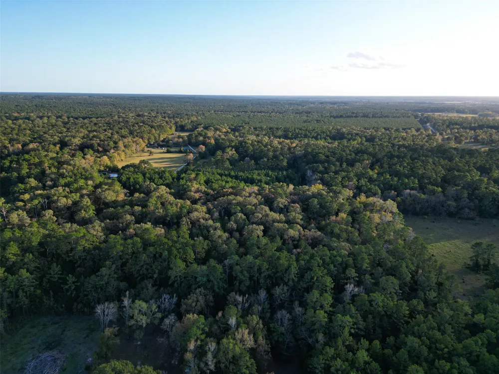 450 Dove Creek Dr Coldspring, TX 77331