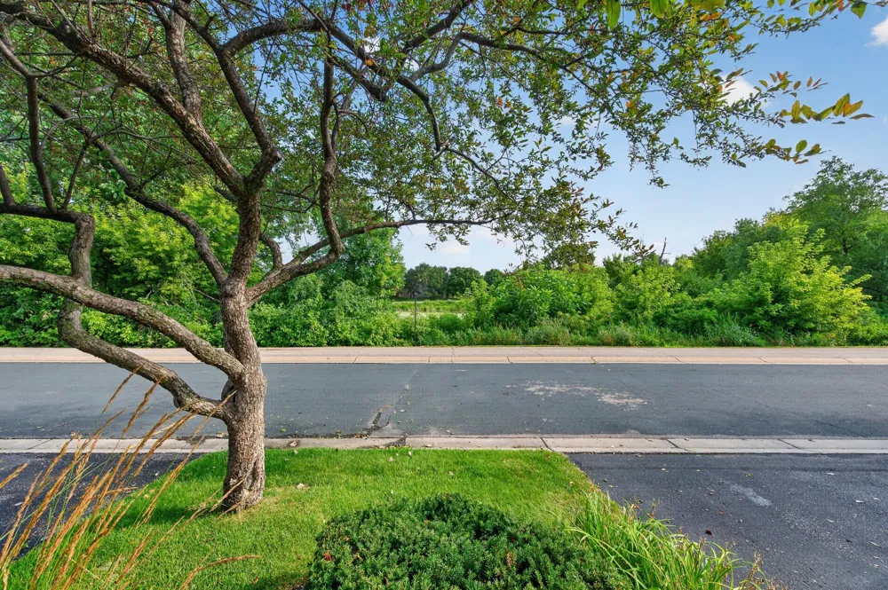 493 Marshland Trail Chanhassen, MN 55317